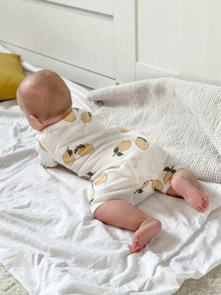 Песочник лимоны