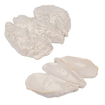 blyudo-20-4-sm-keramika-frutti-di-mare-p-l-lg