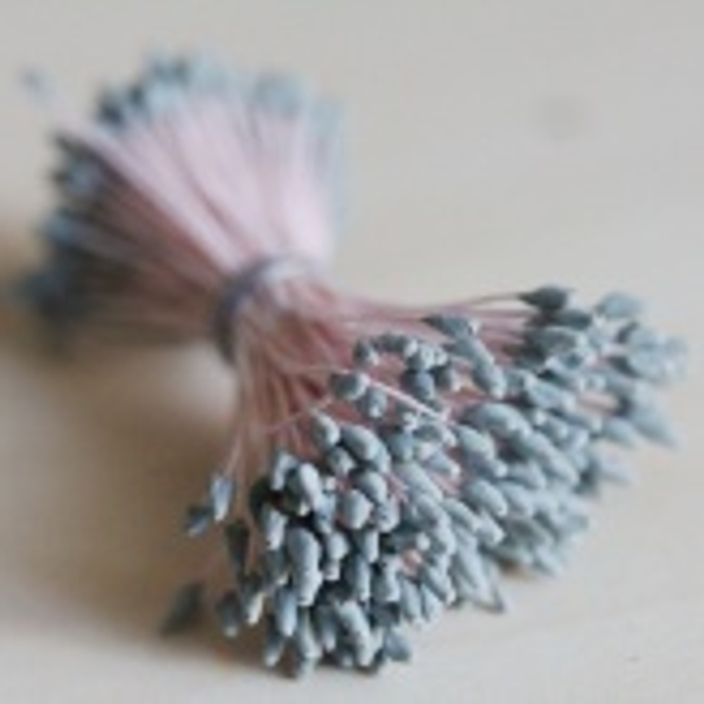 Тычинки крупные серые