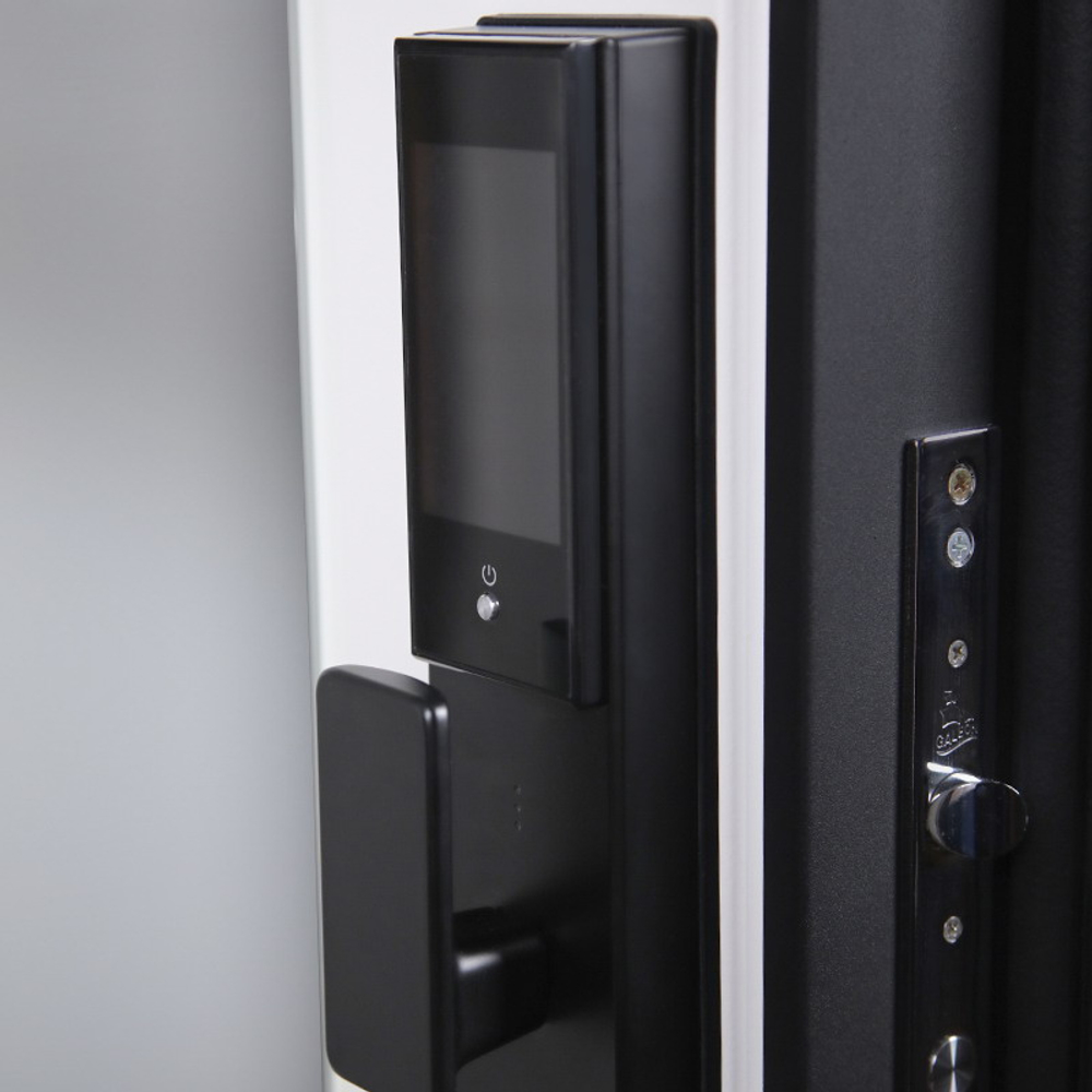 Стальная дверь "Берилл" с зеркалом (биометрический замок DZ 888). Заказная модель.