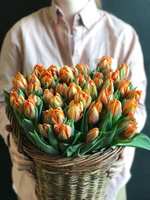 Кашпо тюльпанов Du Orange Princess.