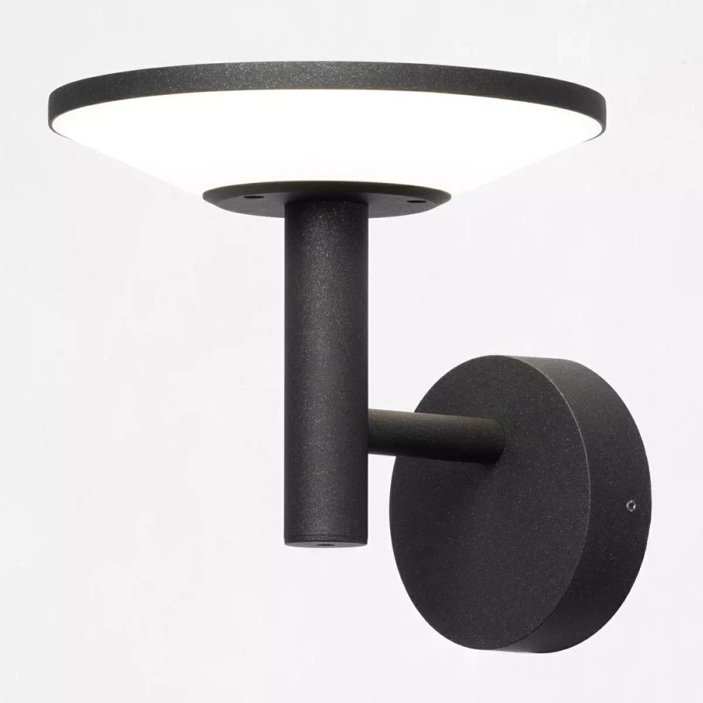 Уличный настенный светодиодный светильник Citilux Dorn CLU05W LED