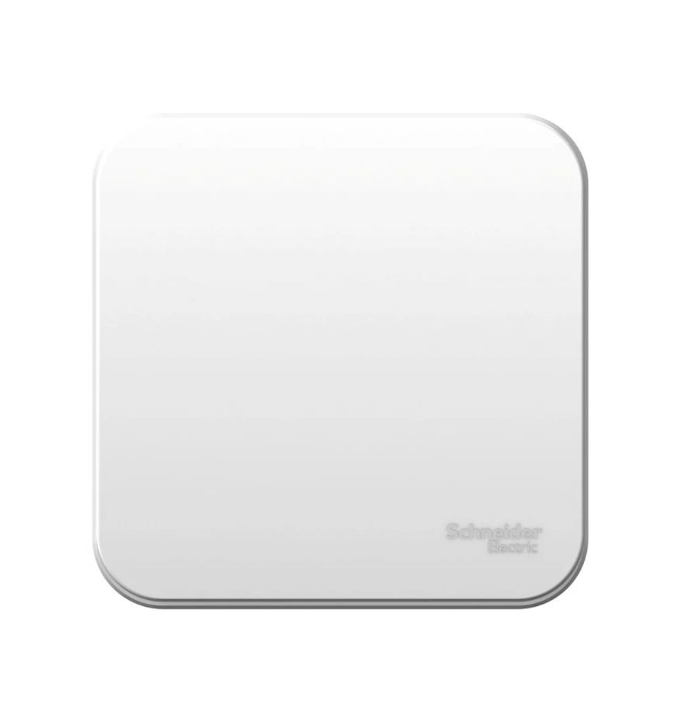Выключатель 2-кл с донышком Schneider Electric Blanca BLNVA065011 белый
