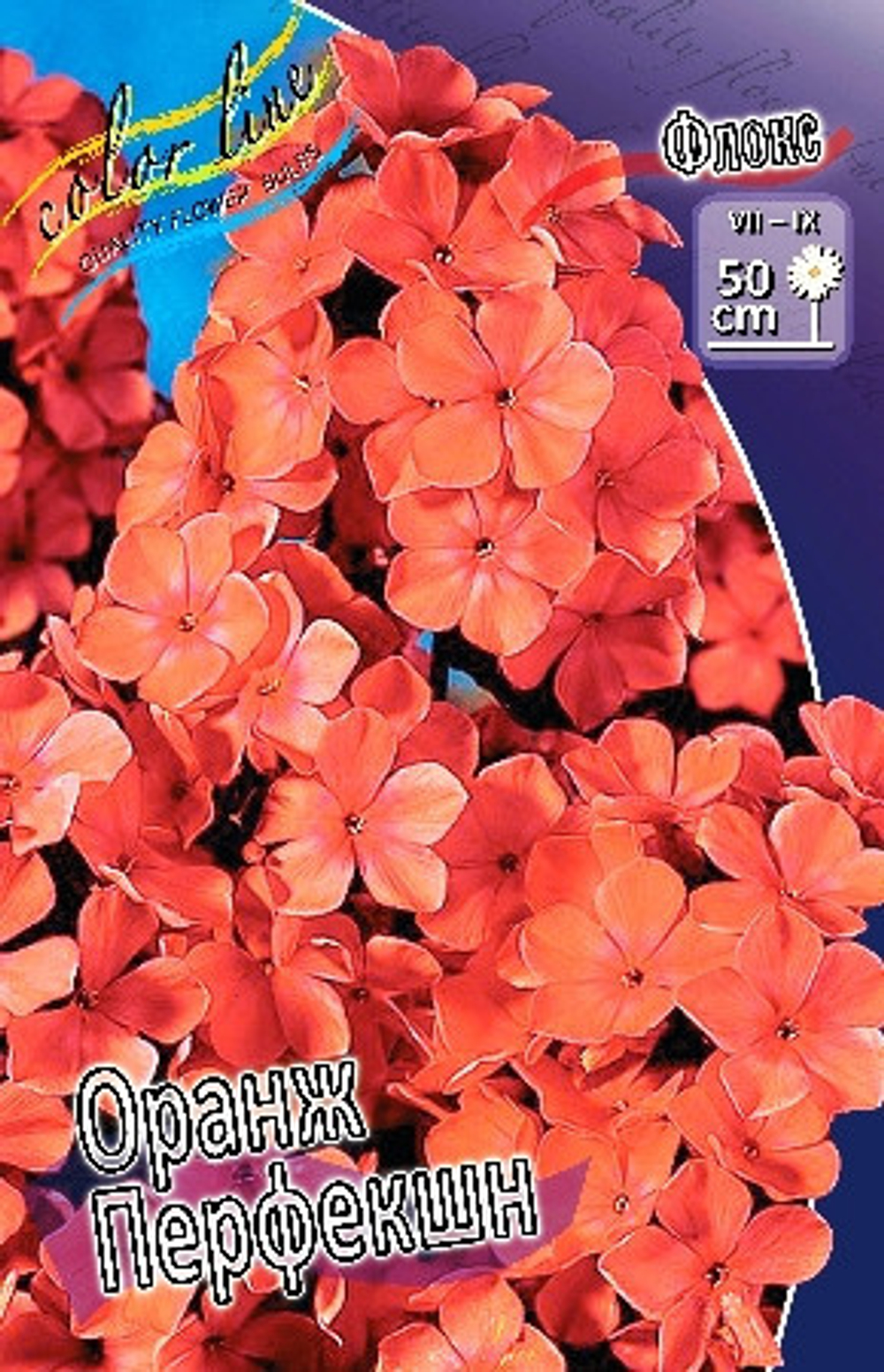 Флокс ОРАНЖ ПЕРФЕКШИОН
