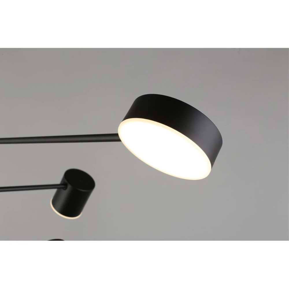 Люстра на штанге Aployt FRANIA APL.017.07.48