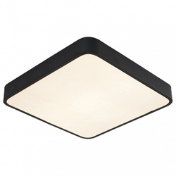Накладной светильник Arte Lamp A2663PL-1BK