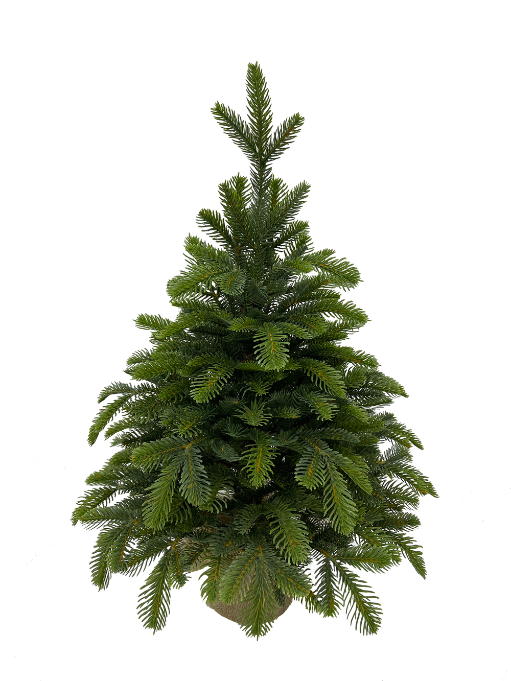 Ель Black Box CL Таежная 100% литая 60см в мешочке зеленая