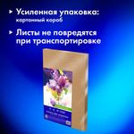 Бумага для акварели А3 40 л., 200 г/м2 ГОЗНАК СПб, в коробке, BRAUBERG ART CLASSIC, "СИРЕНЕВЫЙ БУКЕТ", 116886