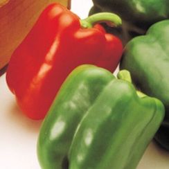 АРИСТОТЕЛЬ ЭКС 3 Р F1 семена перца сладкого (Seminis | Alexagro)