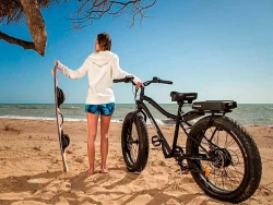 Электрофэтбайк El-sport bike TDN-01 500W