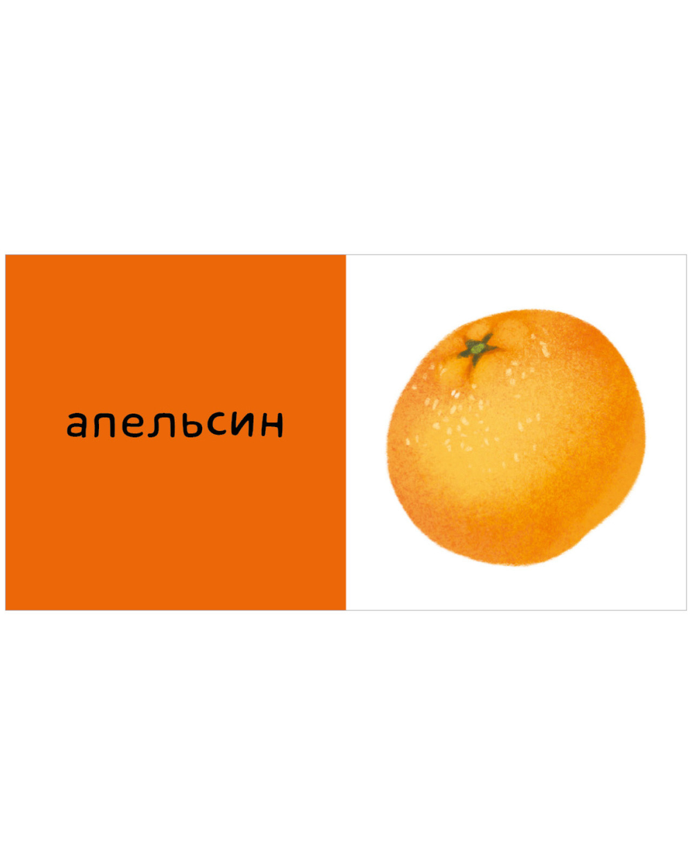 Мои первые слова. 15 книжек-кубиков. Развитие речи