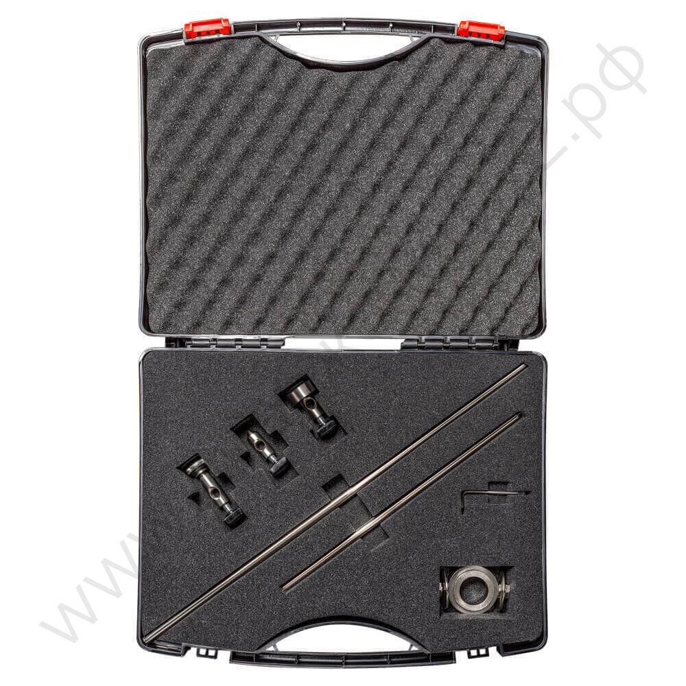 Набор балеринок CP 81 BAL5700