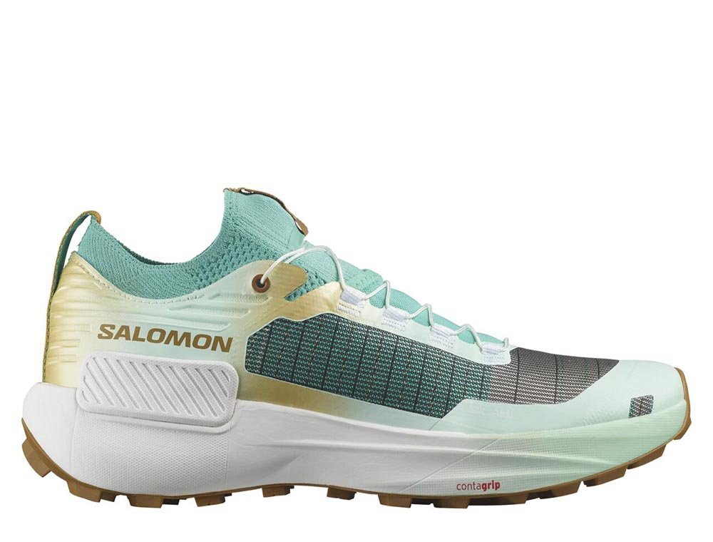 Кроссовки для бега мужские Salomon S/LAB Genesis M LTD Courtney v2 Watf Мультиколор
