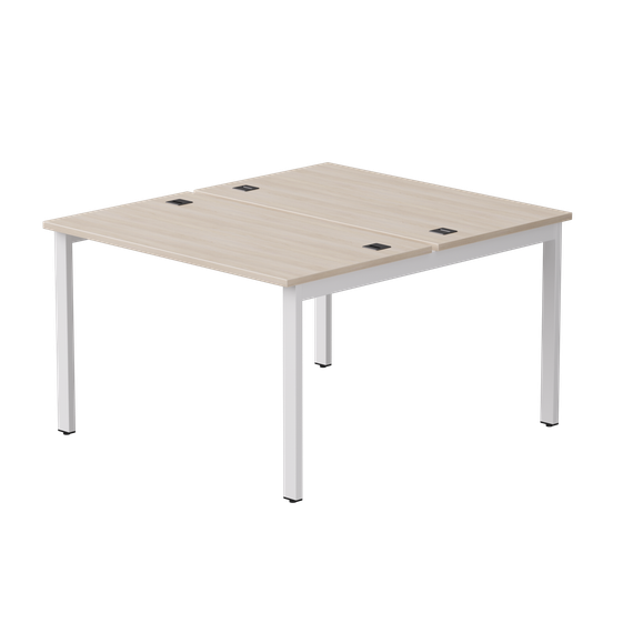 Бенч-система на 2 места Everprof EVO на металлокаркасе 1180х670(1370)x755