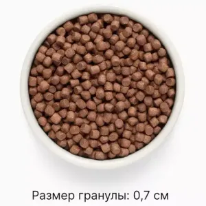 Уценка! Повр.упак./ Сухой корм Premier ягненок с индейкой для собак мелких пород