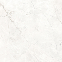 Connect Pearl Керамогранит светло-серый SG624920R 60х60 матовый