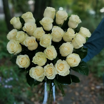 Букет из 25 белых роз