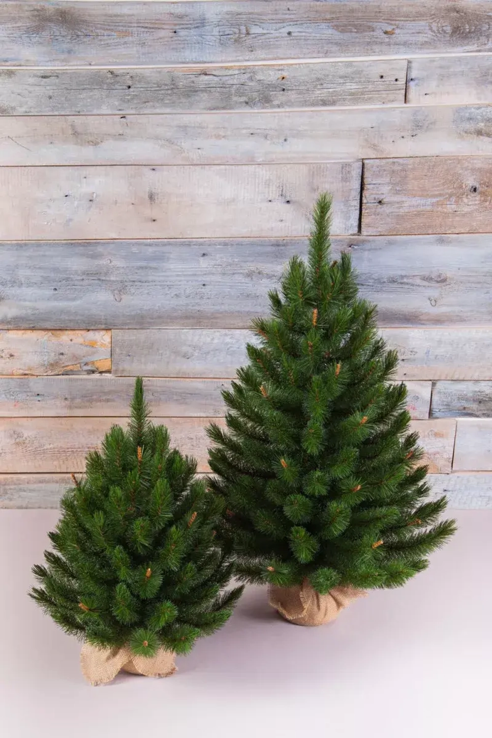 Елка Сказочная в мешочке 90 см., леска, Triumph Tree (73538)