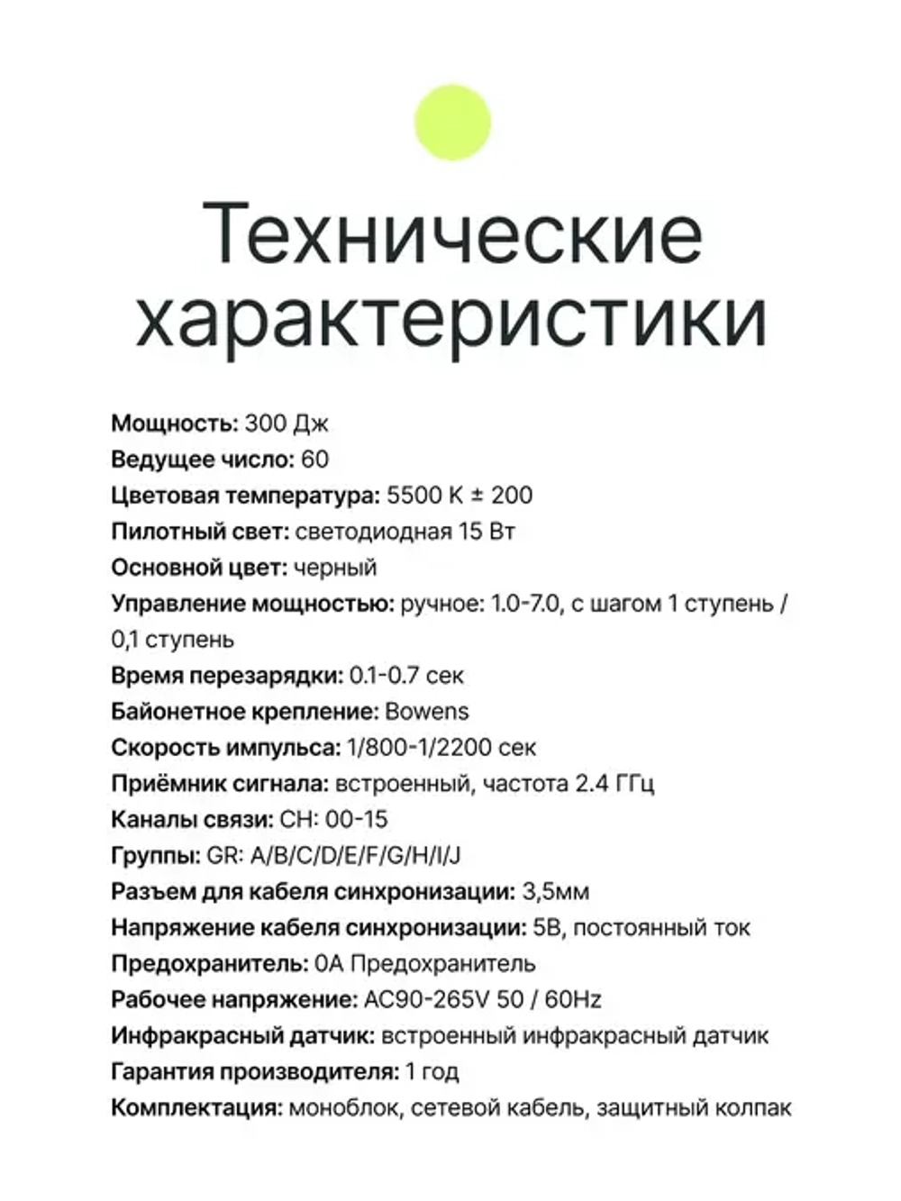 Вспышка студийная Raylab Rossa RS-300