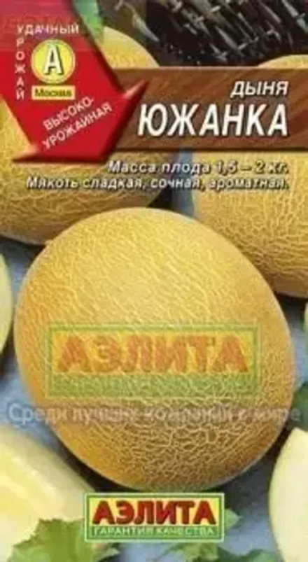 Дыня Южанка Аэлита