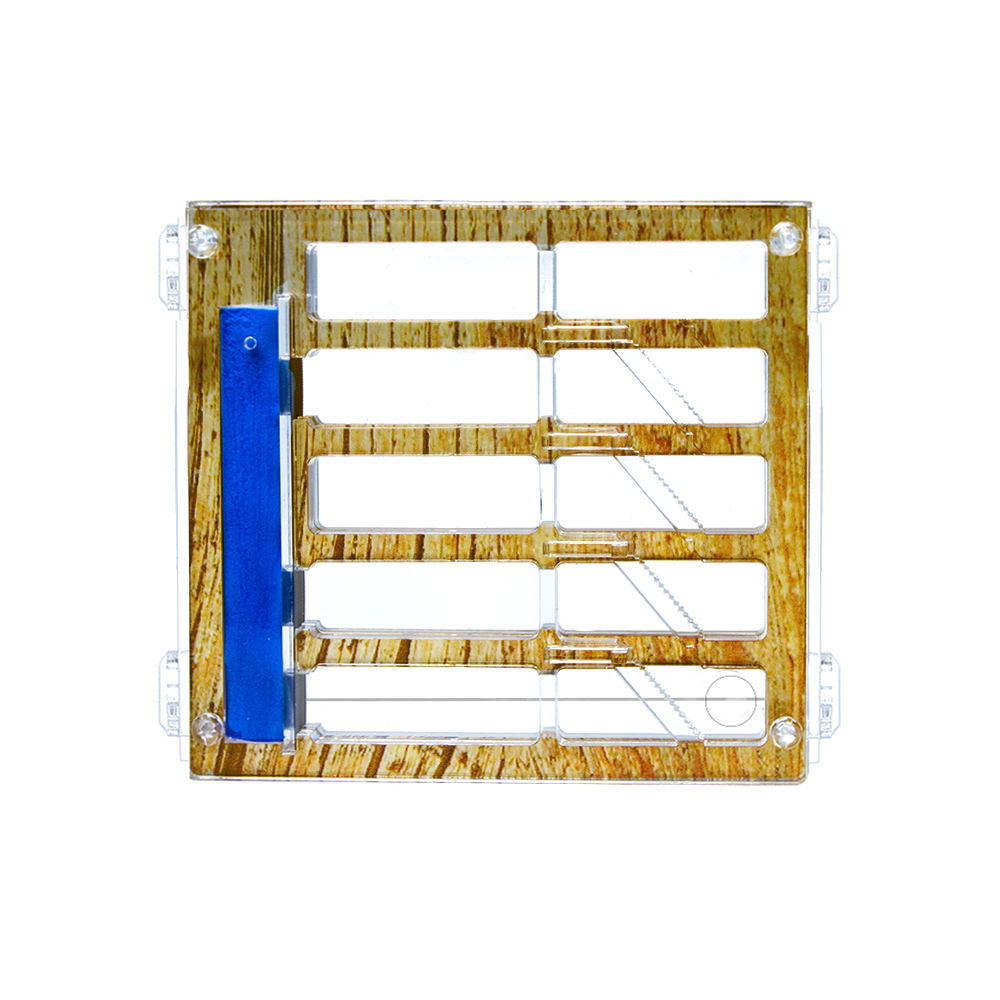 Муравьиная ферма СОТОЧКА 3.0