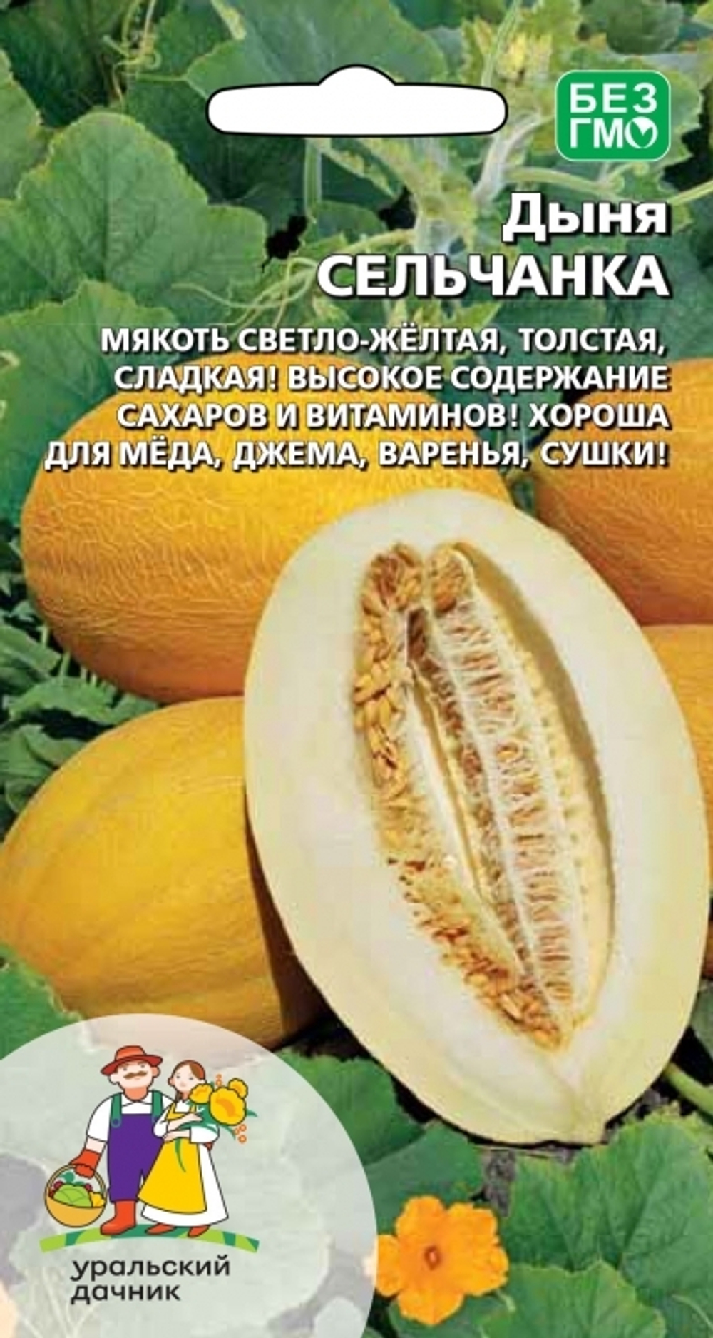 дыня Сельчанка