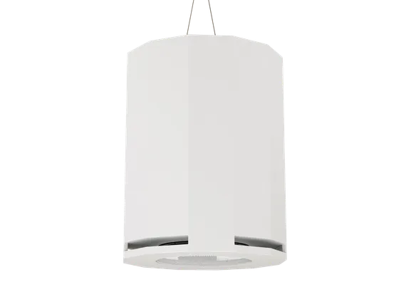 CVGAUDIO SUBone model DH-8W/CR подвесной сабвуфер, мощность 150W/300W