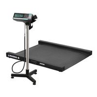 Весы пандусные МАССА-К 4D-LM-10/10-2000-RP с печатью этикеток