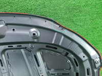 Капот Geely Coolray (2019-2023) (В пленке)