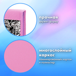 Папка на молнии BRAUBERG А4 с ручкой с органайзером 1 отделение "Anime movie" (2 штуки в упаковке)