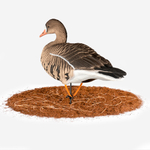 Белолобый гусь Duck Mania "ALFA"