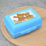 Контейнер для сэндвича, цвет микс