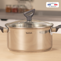 Набор посуды Tefal Daily Cook 11 предметов 1,5/3/5,2л 20/24/28см  G713SB74