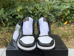 Air Jordan 1 Mid SE  FB9911-001