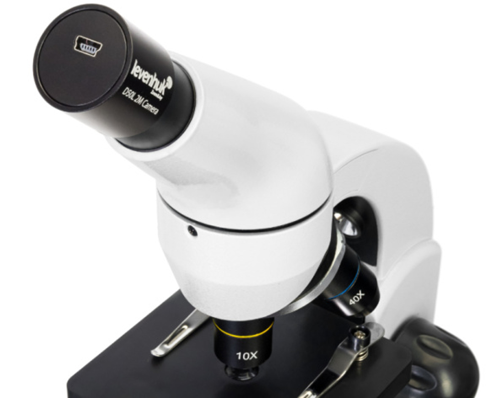 Микроскоп Levenhuk Rainbow D50L PLUS