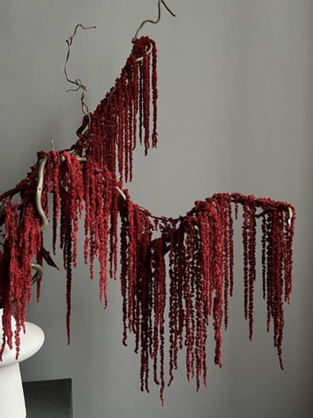 Амарант стабилизированный красный