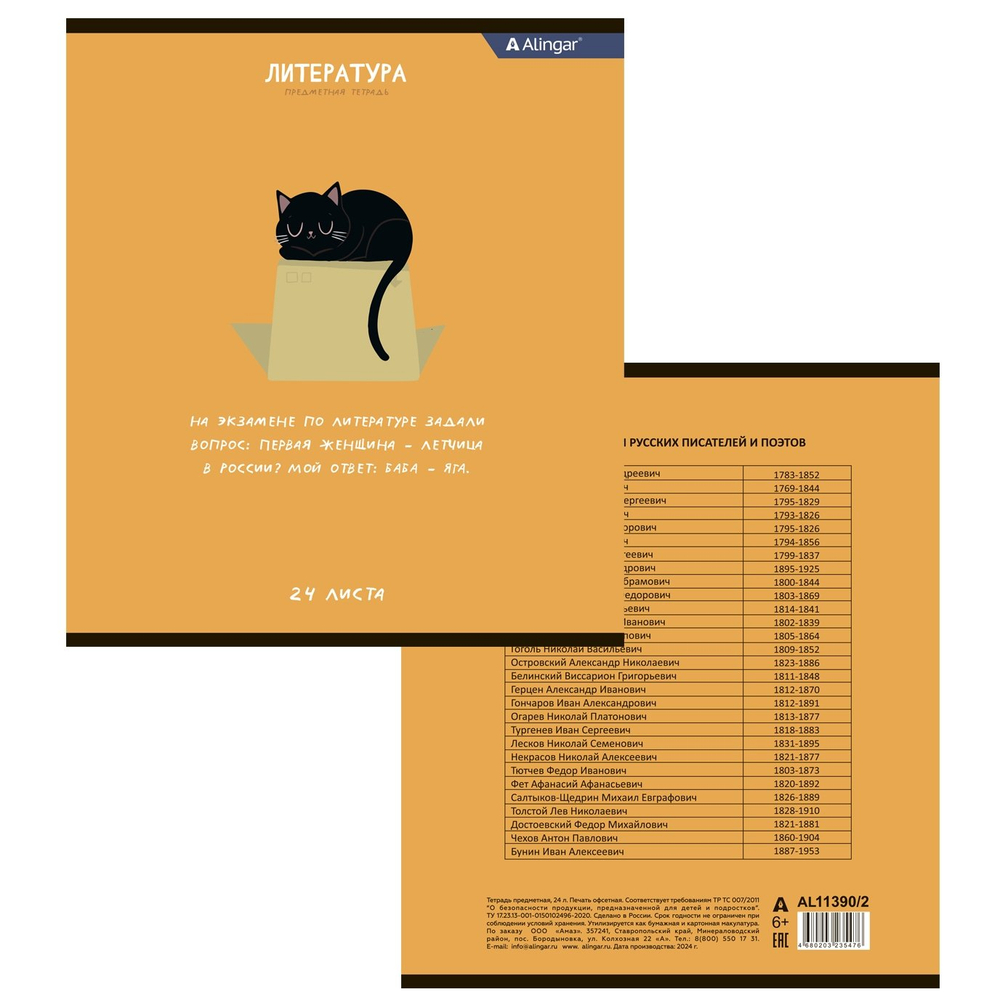 Комплект предметных тетрадей А5 24л., 8 предметов, со справочным материалом, скрепка, мелованный картон (стандарт), блок офсет, Alingar "Чёрный котик"