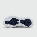 Кроссовки Nike ACG Mountain Fly 2 Low Gtx White Blue