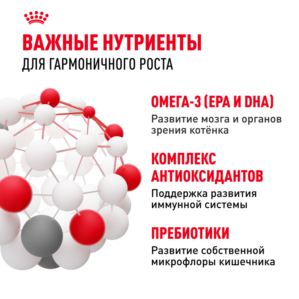 Royal Canin Kitten Корм сухой сбалансированный для котят в период второй фазы роста до 12 месяцев - 10 кг