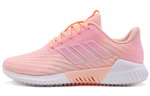 Кроссовки Adidas Climacool 2.0 (Женская размерная сетка)
