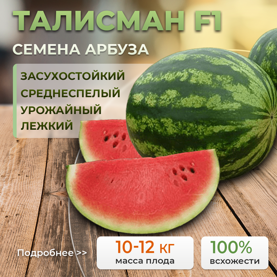ТАЛИСМАН F1 семена арбуза (Nunhems | Alexagro)