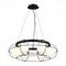 Подвесная люстра ST Luce Asolo SL1189.403.06