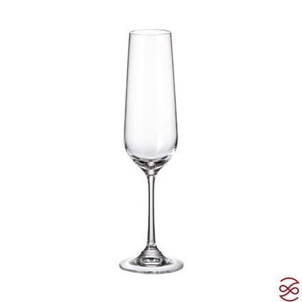 Набор бокалов для шампанского Crystalite Bohemia Strix/Dora 200 мл (2 шт)
