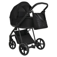 Roan Коляска 2 в 1 Sol Raven Black