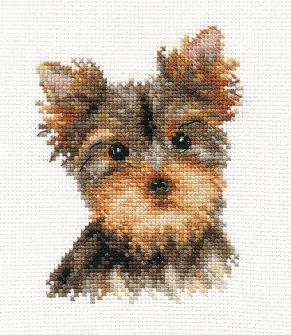 "Йорк"-1-29 вышивка