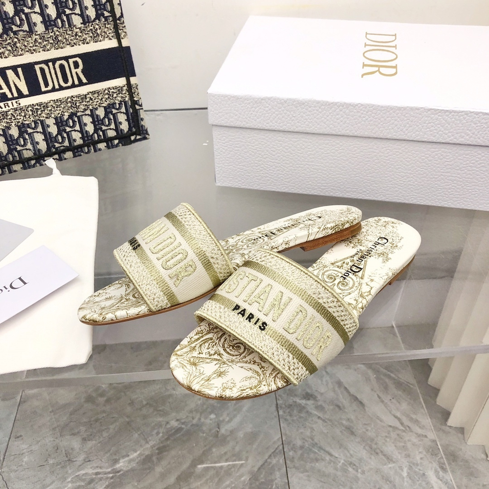 Christian Dior Dway Slide
