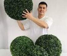 Шары самшит