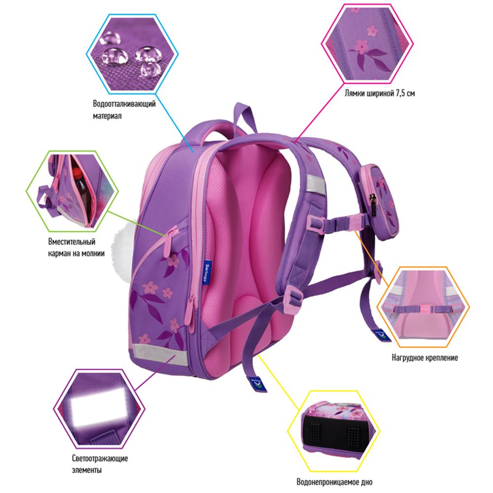 Ранец Berlingo Nova Owl 37х28х18см, 2 отдел., с анатомической спинкой