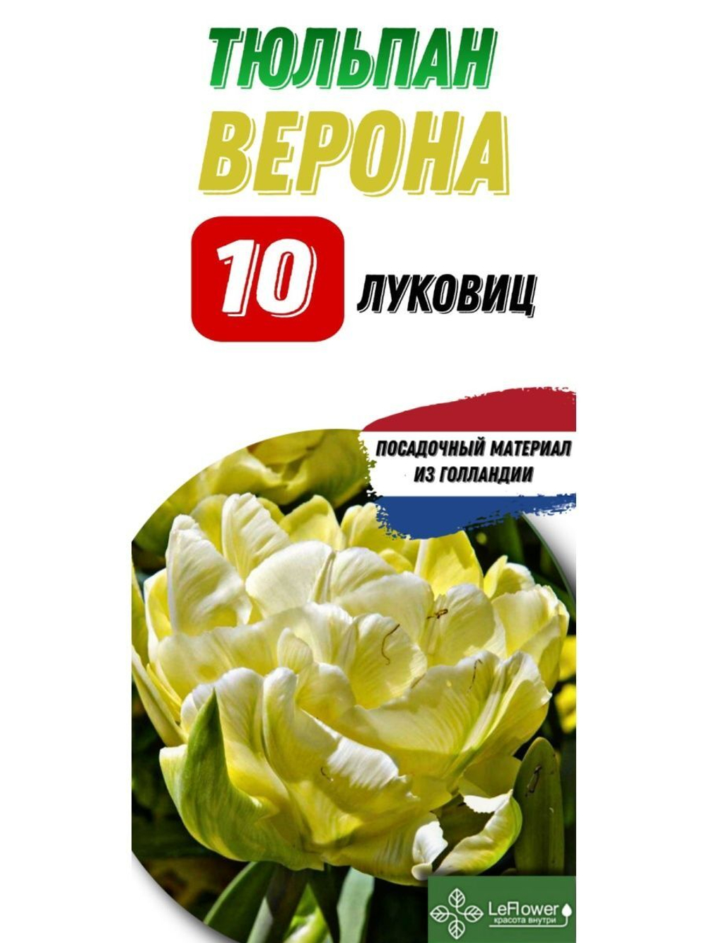 Тюльпан луковица, Верона 10шт