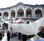 Шар (34"/86 см) Фигура, Голубь, Белый 1 шт.